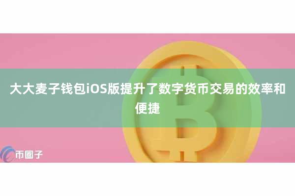 大大麦子钱包iOS版提升了数字货币交易的效率和便捷