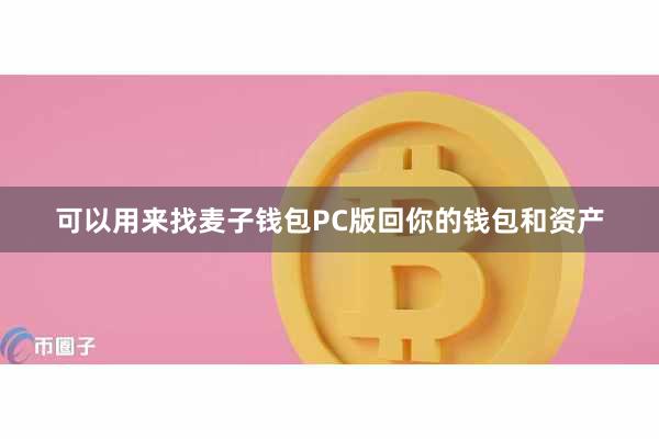 可以用来找麦子钱包PC版回你的钱包和资产