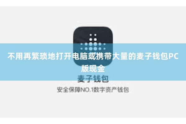 不用再繁琐地打开电脑或携带大量的麦子钱包PC版现金
