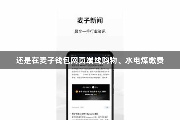 还是在麦子钱包网页端线购物、水电煤缴费
