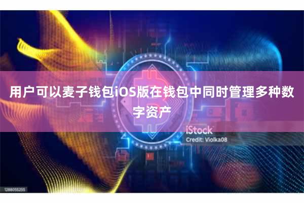 用户可以麦子钱包iOS版在钱包中同时管理多种数字资产