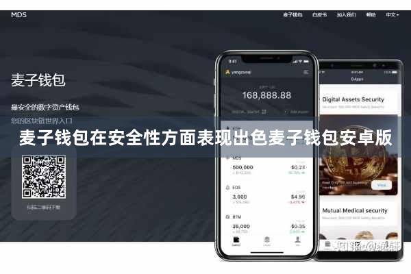 麦子钱包在安全性方面表现出色麦子钱包安卓版