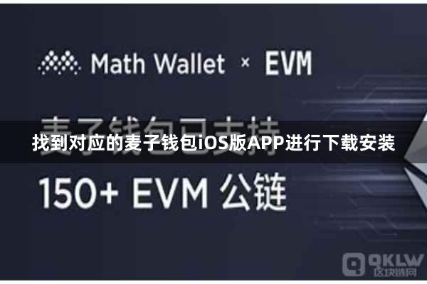 找到对应的麦子钱包iOS版APP进行下载安装