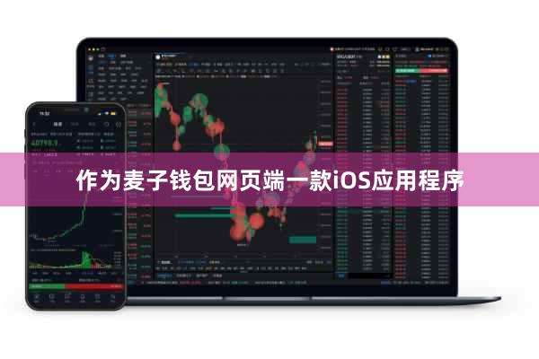 作为麦子钱包网页端一款iOS应用程序