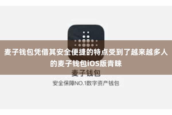 麦子钱包凭借其安全便捷的特点受到了越来越多人的麦子钱包iOS版青睐