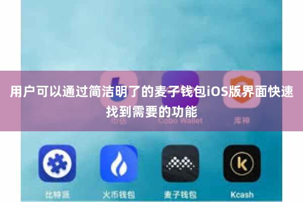 用户可以通过简洁明了的麦子钱包iOS版界面快速找到需要的功能