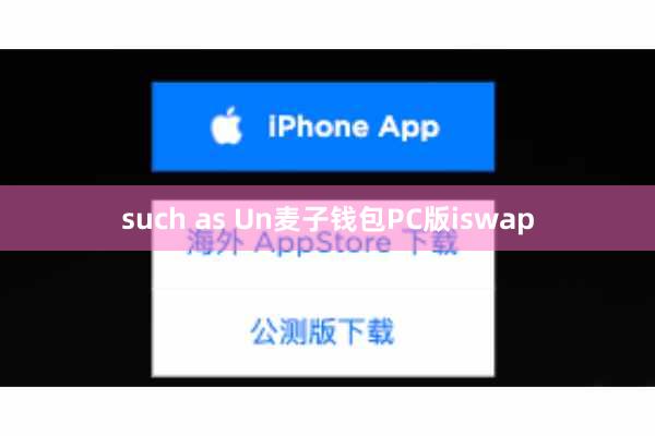 such as Un麦子钱包PC版iswap