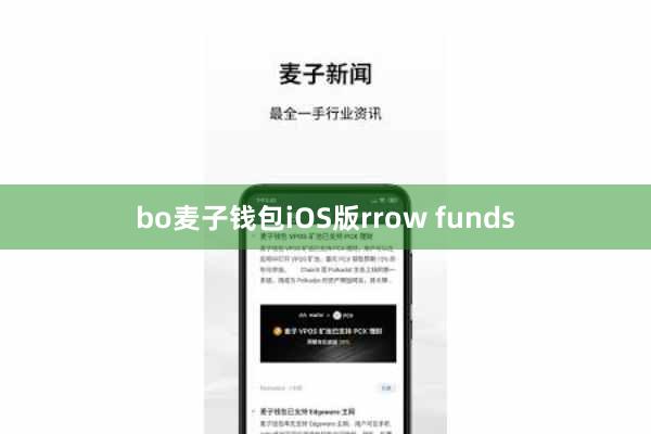 bo麦子钱包iOS版rrow funds