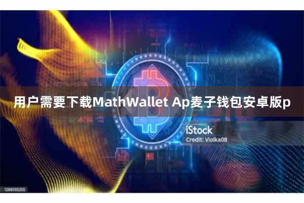 用户需要下载MathWallet Ap麦子钱包安卓版p