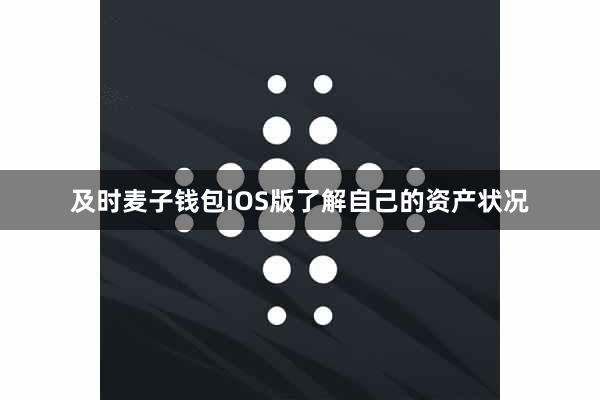 及时麦子钱包iOS版了解自己的资产状况